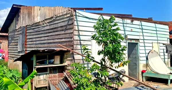 ngentot mutakhir 60 Griya Penduduk Aceh Tenggara Rusak Diterjang pentil Beliung