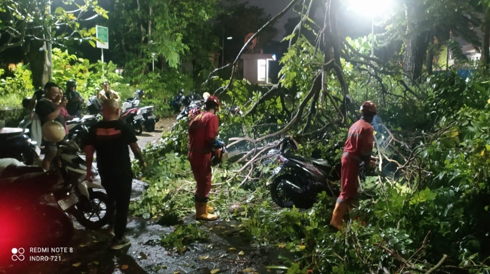 ngentot mutakhir rintik Deras Disertai hembusan pentil Beliung Terjang Sleman, Asbes Griya Beterbangan dan Pohon Tumbang