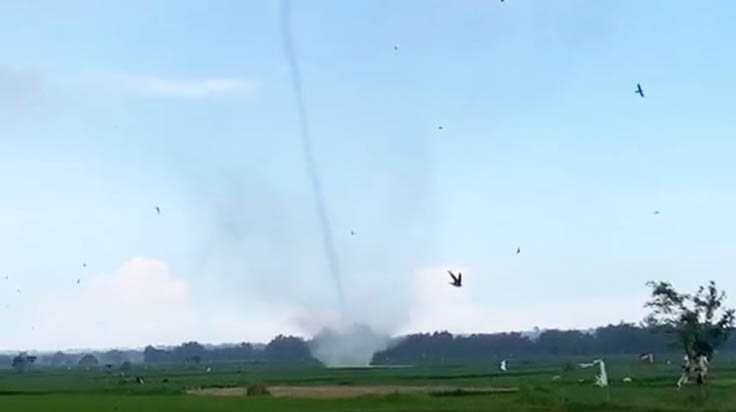 ngentot anyar pentil Beliung Terjang Sawah di Socah, Petani Panik
