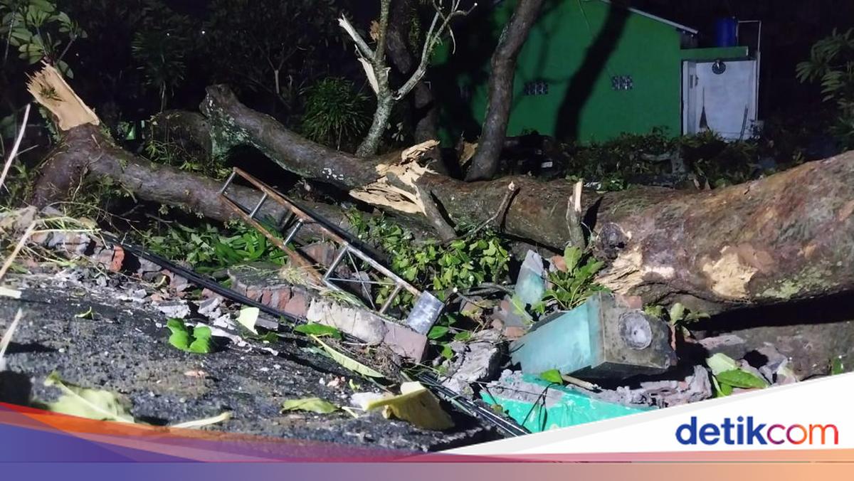 ngentot anyar pentil Beliung Terjang Sleman, Asbes Beterbangan-Pohon Tumbang