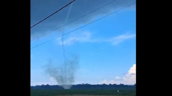 ngentot anyar Mencekam! pentil Beliung Mengamuk di Persawahan Bangkalan, Tanaman hingga Gubuk Rusak