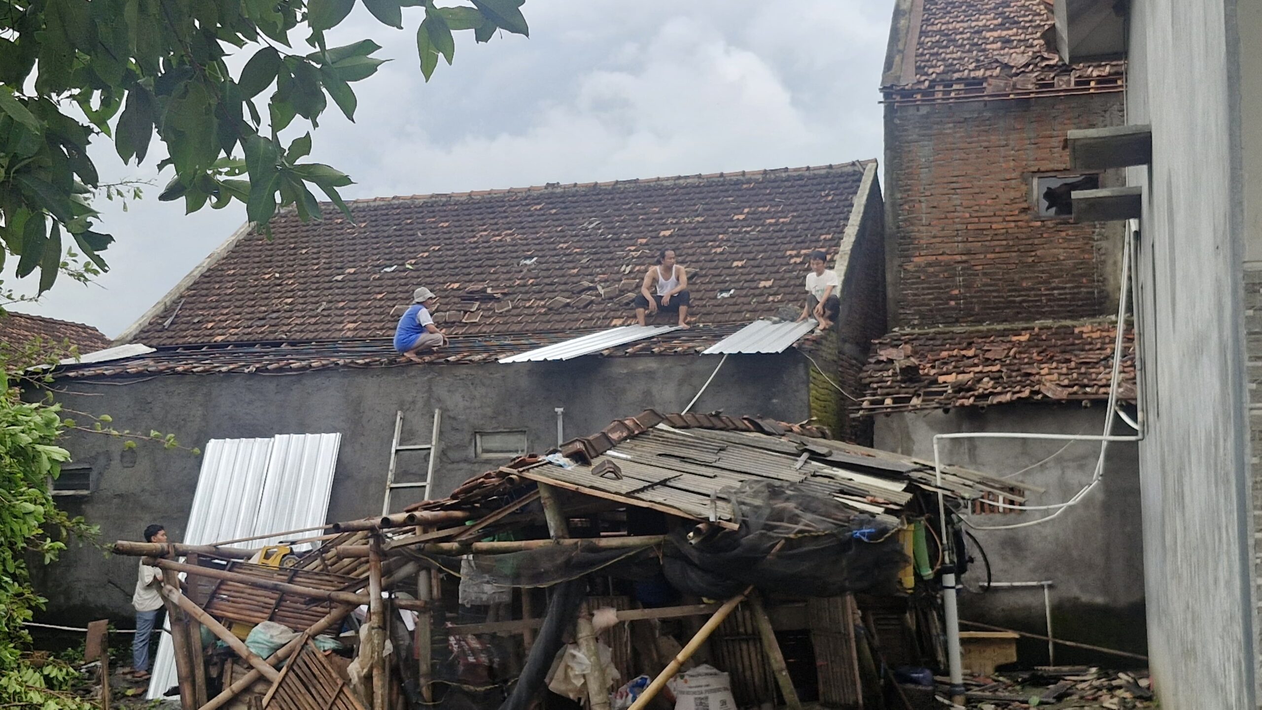 ngentot anyar semilir pentil Beliung Menerjang Kudus, 30 Griya Penduduk Rusak Parah