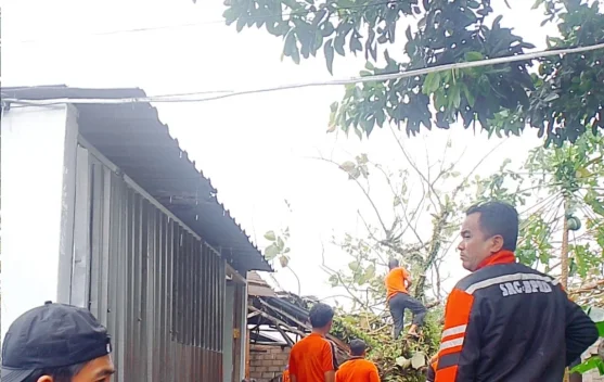 ngentot anyar BPBD Pangkalpinang Imbau Penduduk Waspada hembusan Kencang dan pentil Beliung