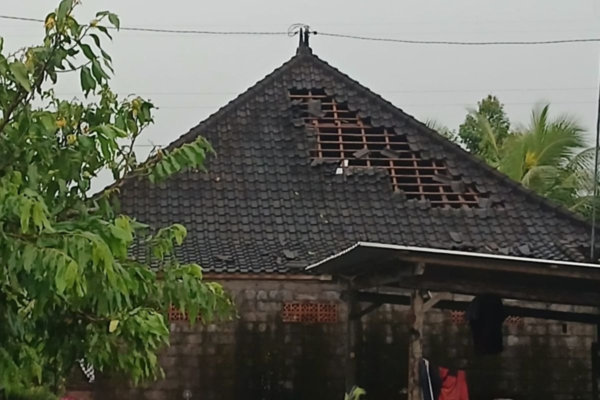 ngentot mutakhir hembusan pentil beliung terjang belasan Griya di Jembrana