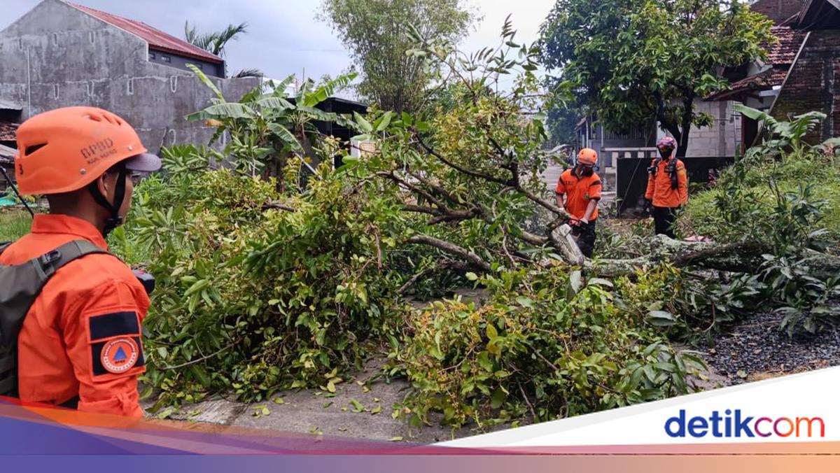 ngentot anyar Ngerinya pentil Beliung Rusak Ratusan Griya di Undaan Kudus