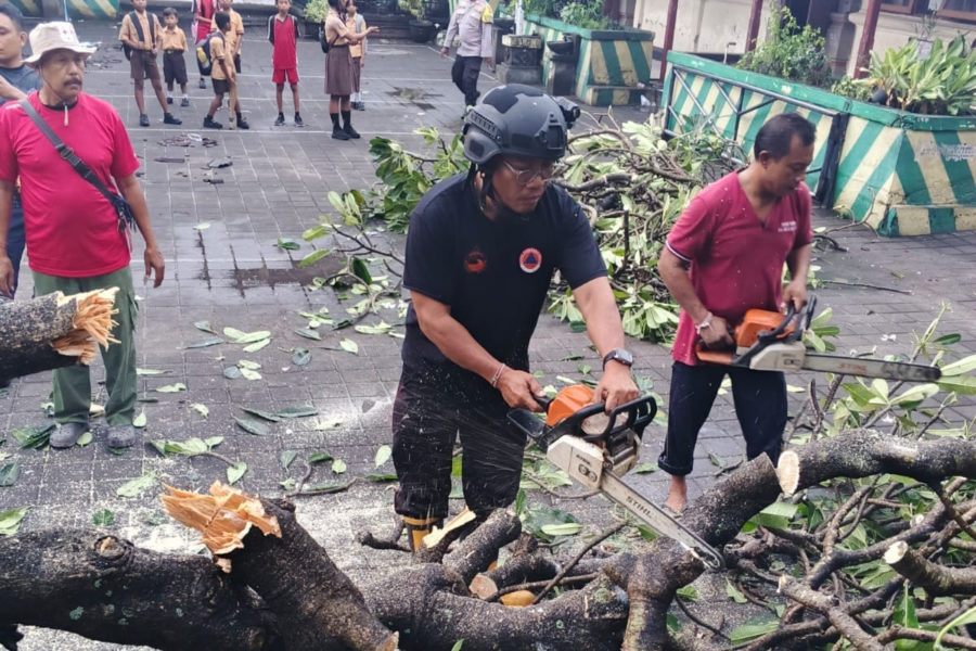 ngentot mutakhir semilir pentil Beliung Sebabkan Pohon Tumbang hingga Asbes Beterbangan di Imam Bonjol