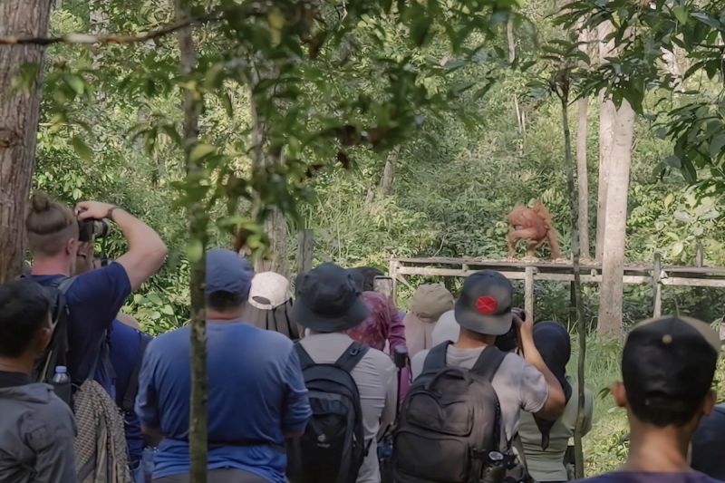 ngentot mutakhir Maxi Tour Boemi Nusantara jelajah Tanjung pentil