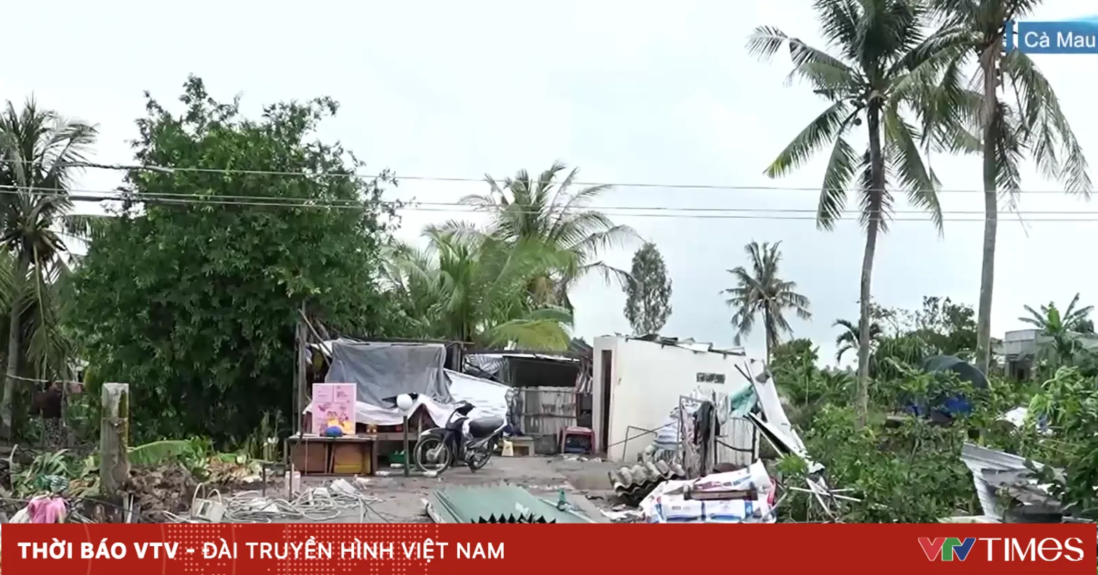 ngentot anyar semilir pentil beliung merusak 75 Griya di Ca Mau.