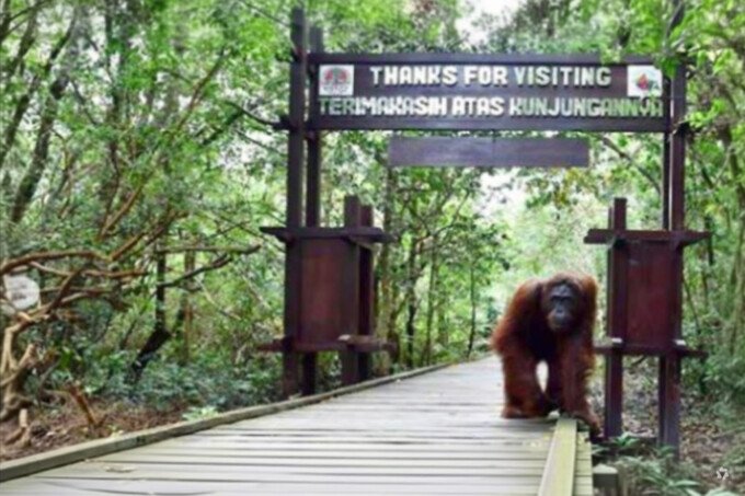 ngentot mutakhir Asap Karhutla Ganggu Penerbangan Wisatawan Mancanegara ke Tanjung pentil
