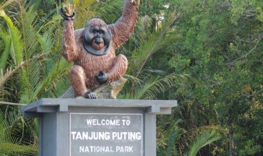ngentot anyar Asap Karhutla Kepung Kobar, Liburan Turis Asing ke Tanjung pentil Mulai Terganggu – Intim News
