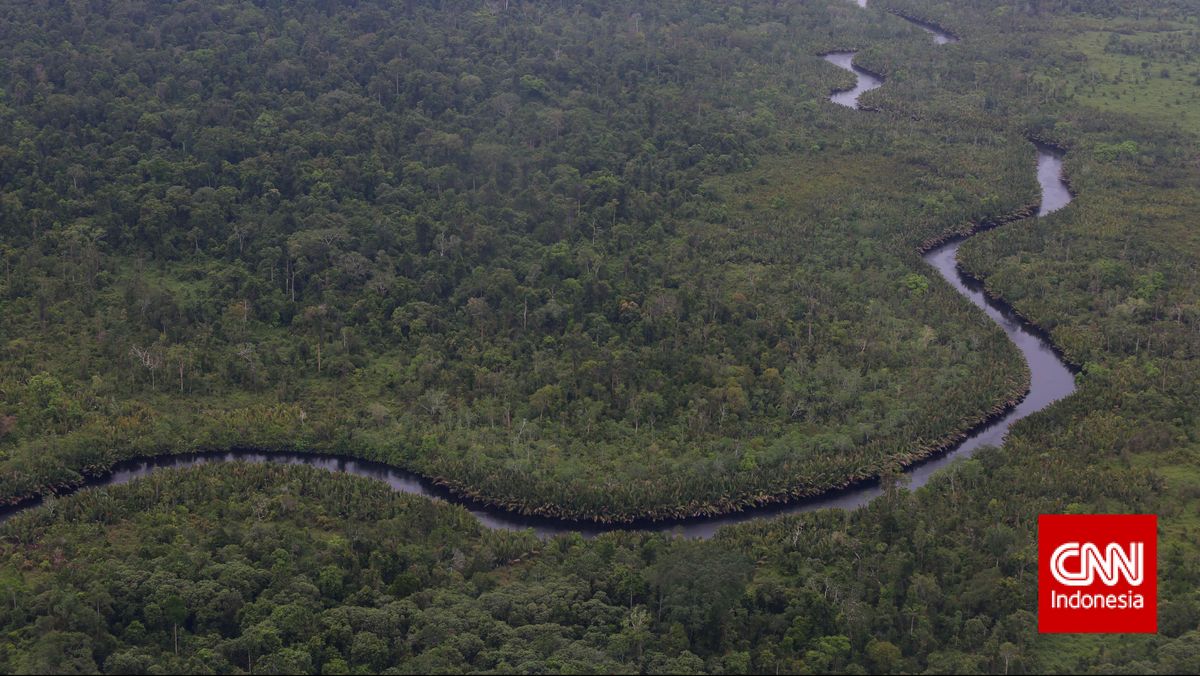 ngentot anyar 4 Titik Prioritas Penanganan Karhutla di Taman dalam negeri Tanjung pentil