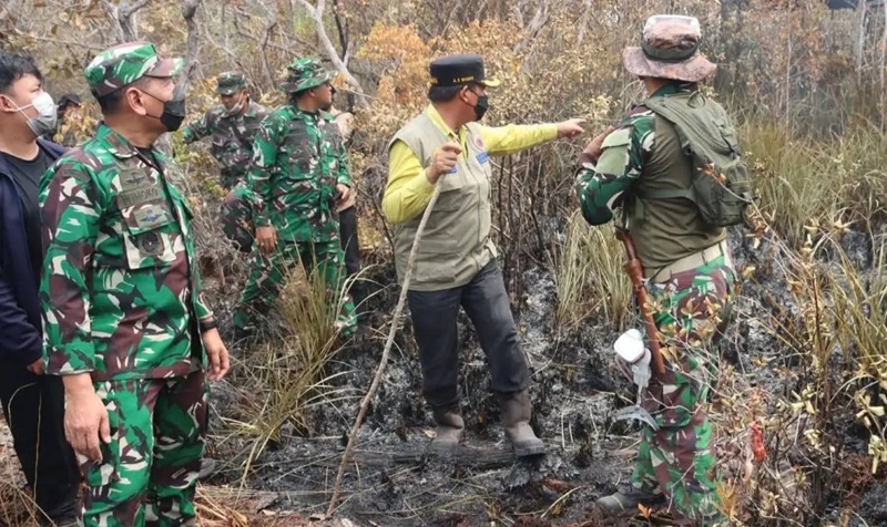 ngentot mutakhir TN Tanjung pentil bagian dalam Ancaman Karhutla, Bupati Seruyan Ahmad Selanorwanda Serukan Kolaborasi Penyelamatan