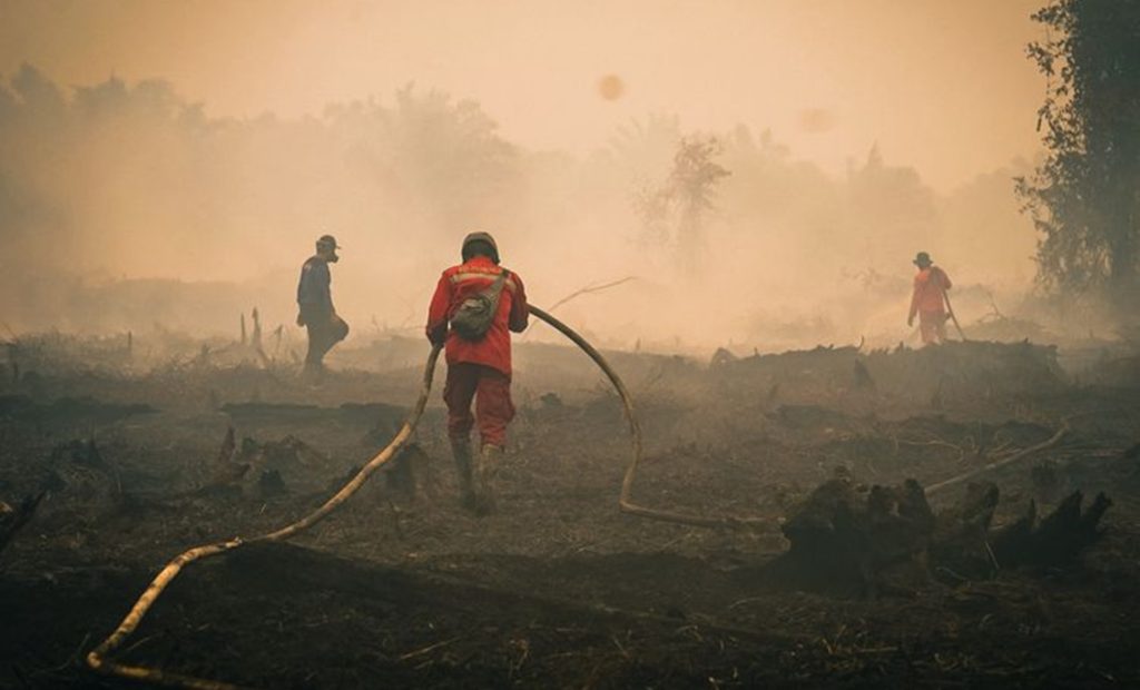 ngentot anyar Kemenhut Tingkatkan Water Bombing Karhutla di Tanjung pentil sebagai 26 Kali