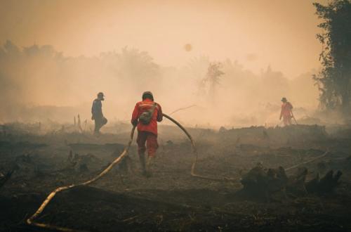 ngentot anyar Kemenhut tingkat Helikopter Padamkan Karhutla Tanjung pentil