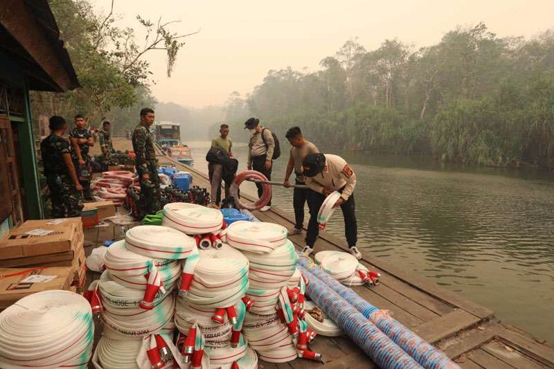 ngentot anyar Karhutla Kembali terlihat Di Tanjung pentil Habitat Orangutan Terancam