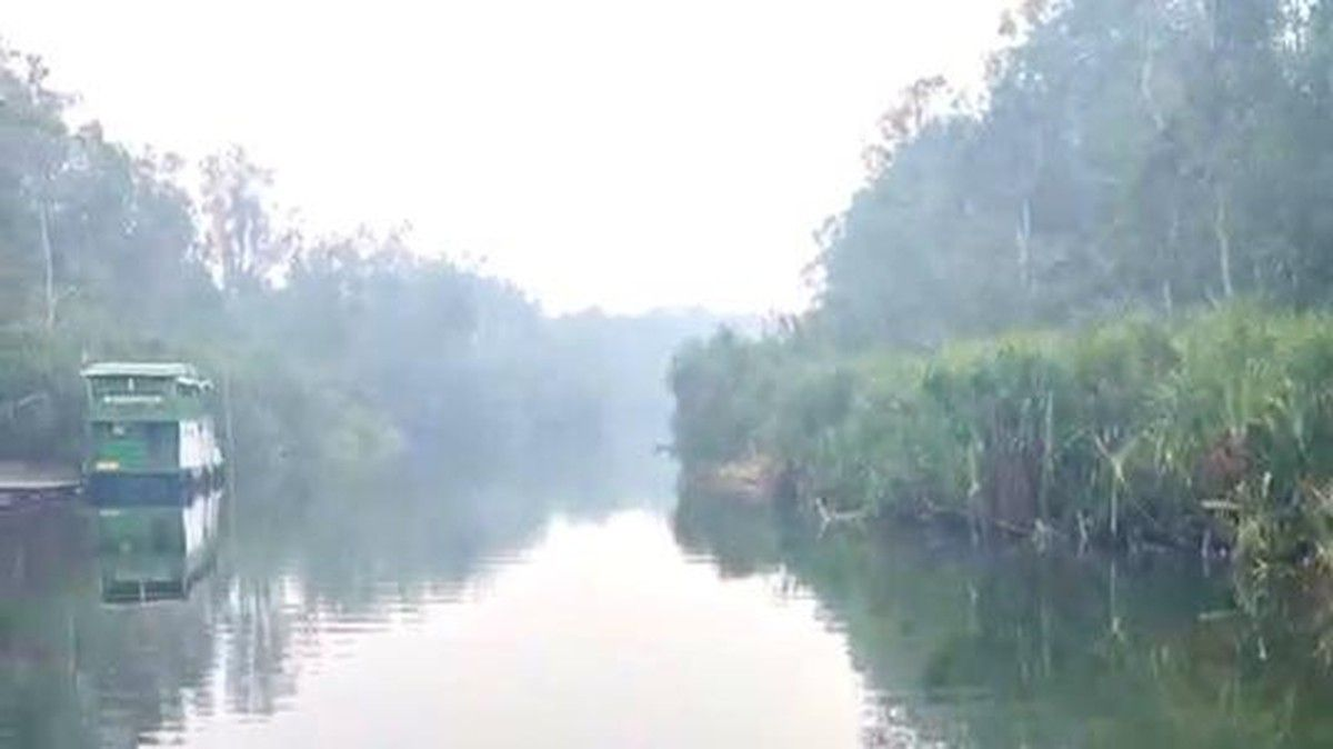 ngentot anyar gerimis Belum Menjangkau Taman dalam negeri Tanjung pentil