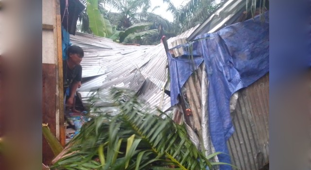 ngentot mutakhir Sebuah Griya milik Kamarudin Penduduk RT 14 Sungai Saren Hancur Dihantam pentil Beliung, Tertimpa Pohon Sawit