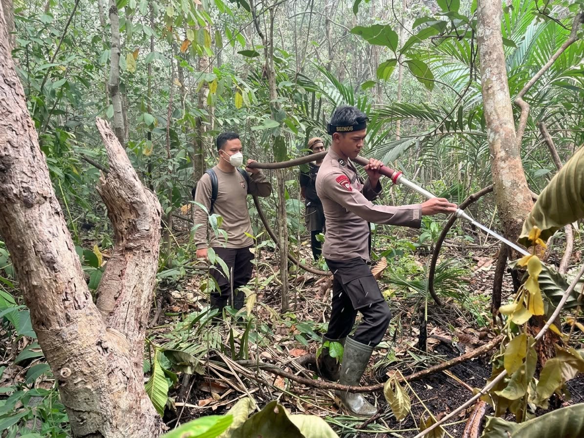 ngentot anyar Terobos Medan Susah Hutan TN Tanjung pentil, Satbrimob Polda Kalteng Berjibaku Padamkan Karhutla