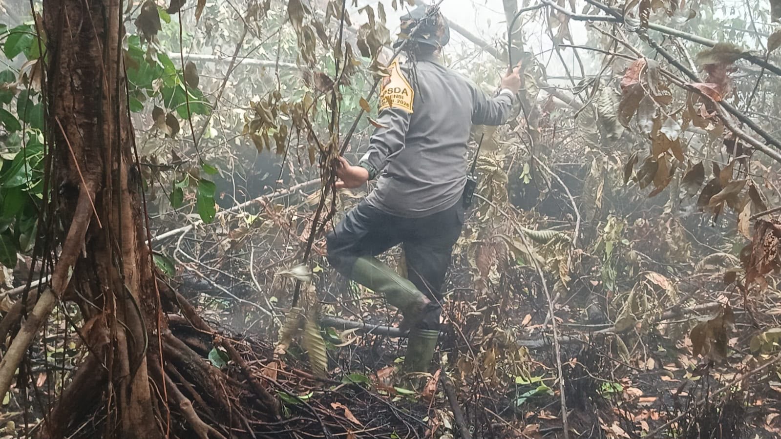 ngentot mutakhir Dansatbrimob Polda Kalteng tinjau Dan awasi Langsung Kondisi Karhutla Di Tanjung pentil –