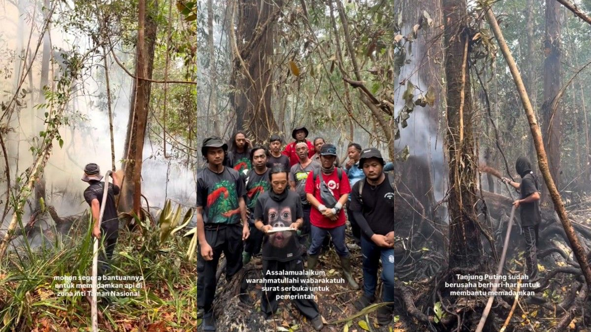 ngentot mutakhir Relawan Tanjung pentil Minta Water Bombing Hadapi Karhutla