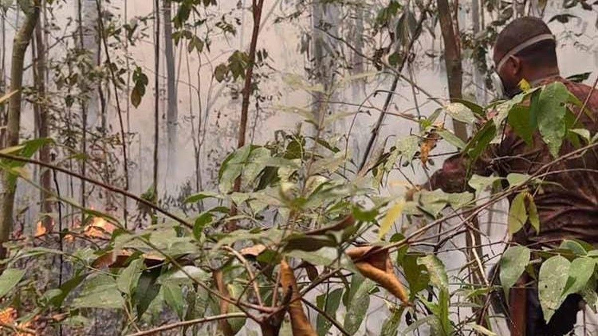 ngentot mutakhir rintik Belum Padamkan Karhutla di Taman dalam negeri Tanjung pentil
