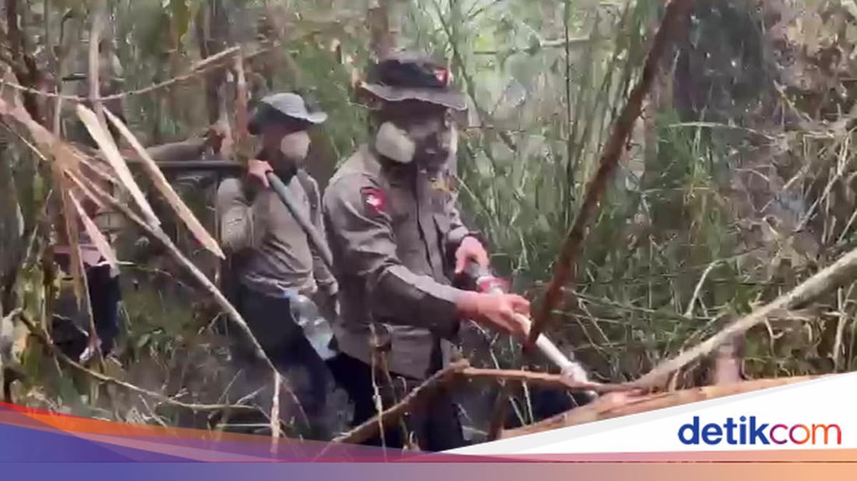 ngentot anyar Upaya Brimob Kalteng Padamkan Karhutla Tanjung pentil di inti Medan Susah