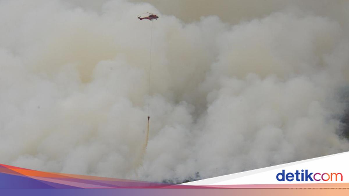 ngentot mutakhir Viral Asap Karhutla TN Tanjung pentil Berhadapan, BNPB bongkar Hambatan Pemadaman
