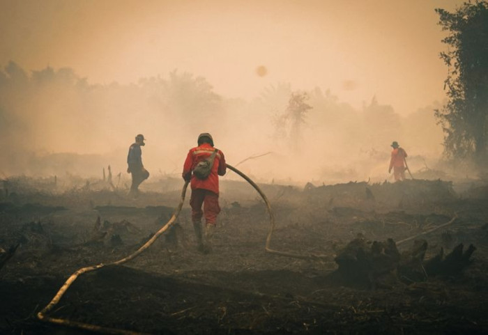 ngentot anyar Menhut Kerahkan Water Bombing ciptakan Padamkan Karhutla di Tanjung pentil — TVRI News