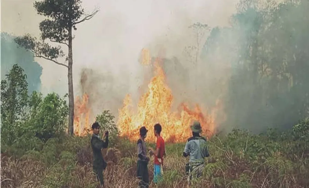 ngentot anyar TN Tanjung pentil Tetap Membara, Griya Orangutan Kian Terancam