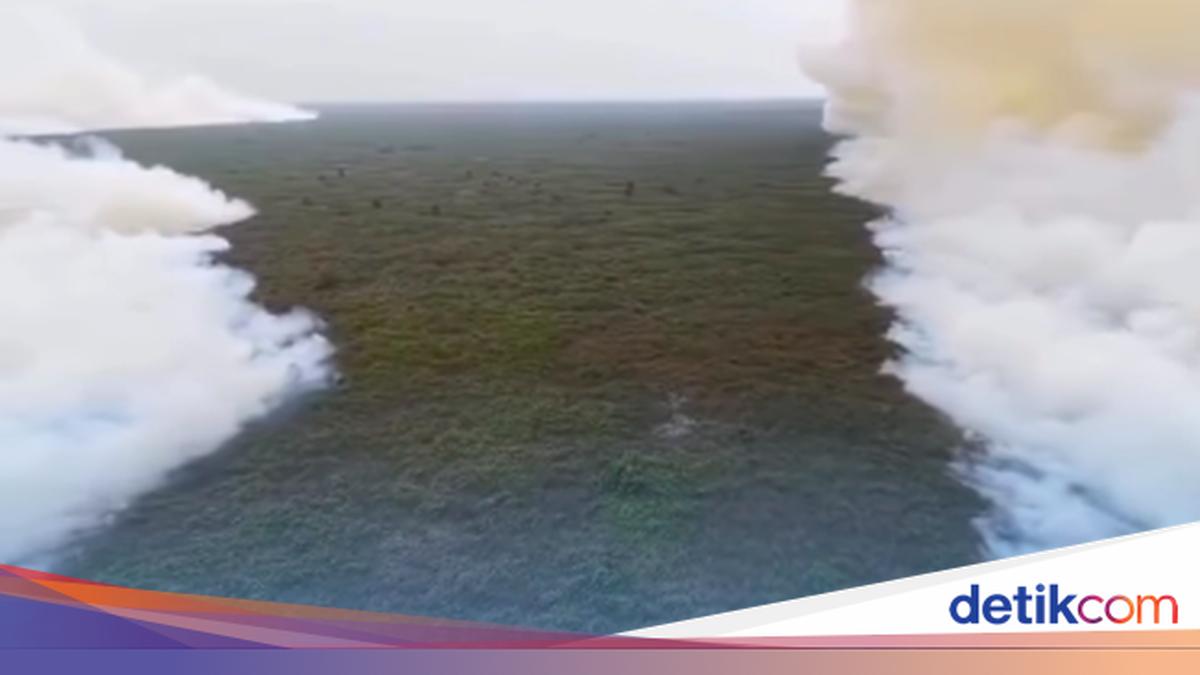 ngentot mutakhir Tanjung pentil Kebakaran hebat, Netizen Doakan Relawan & Minta kuasa Sigap Tanggap