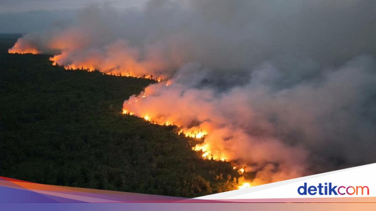 ngentot mutakhir Karhutla berikut Membara, 4 laksana masuk TN Tanjung pentil Ditutup Lakukan Wisata!