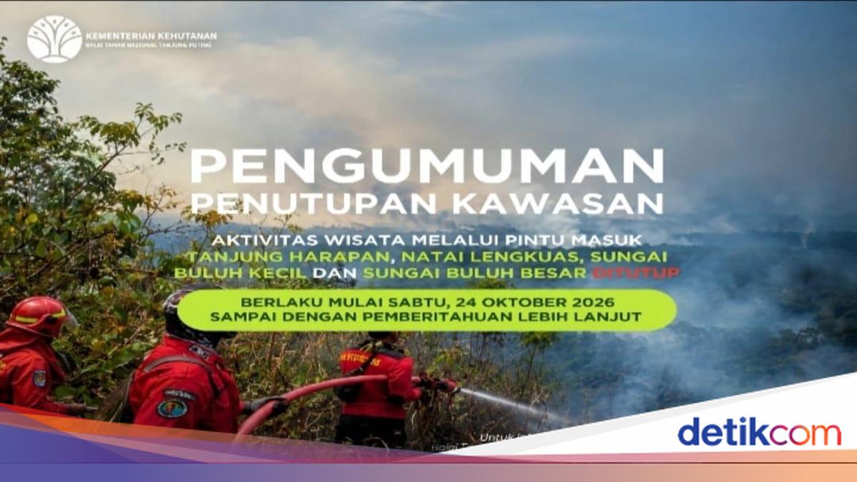 ngentot mutakhir Karhutla Meluas, 4 realisasi masuk Wisata TN Tanjung pentil Ditutup Mulai 24 Oktober