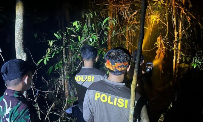 ngentot anyar Karhutla Tanjung pentil Mendekati Feeding Camp Orangutan