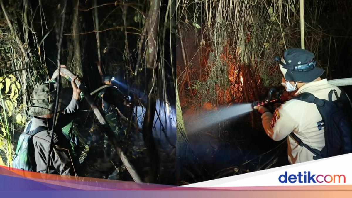 ngentot anyar Peran Vital ‘Akamsi’ internal Upaya Pemadaman Karhutla Tanjung pentil