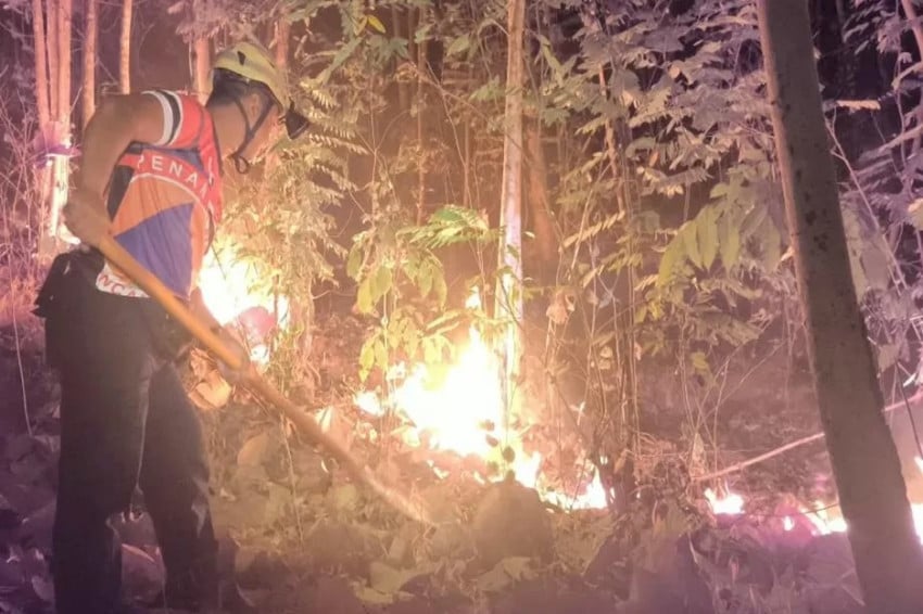 ngentot mutakhir Prabowo Konsentrasi Tangani Karhutla di 6 Provinsi, Taman domestik Tanjung pentil Jadi Prioritas