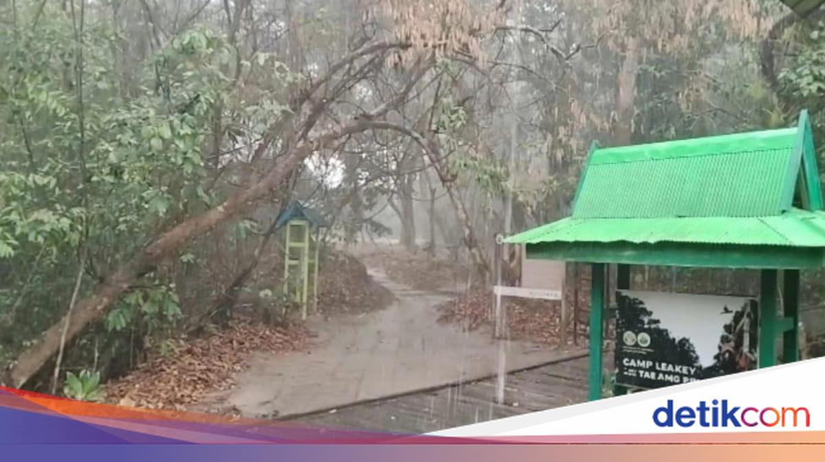 ngentot anyar Alhamdulillah…, rintik berkurang di Tanjung pentil