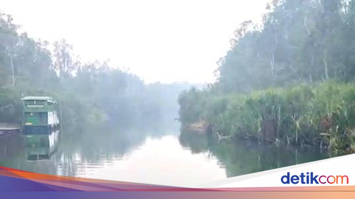 ngentot mutakhir rintik Mulai Guyur Kobar, Tapi Belum Tiba Kawasan Tanjung pentil