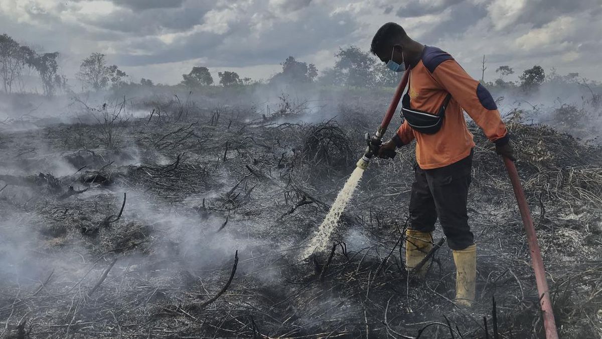 ngentot anyar Karhutla Tanjung pentil Kobar Kian Parah, Bupati Minta Donasi inti