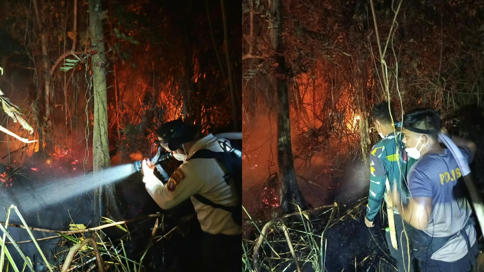 ngentot mutakhir Tembus Hutan Tanjung pentil, Polisi dan Relawan Berjibaku Padamkan Api – Intim News